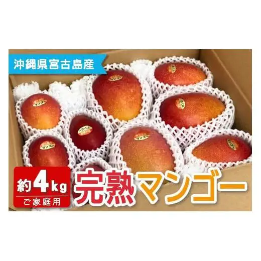 【宮古島産マンゴー】ご家庭用 4kg（8-11玉）マンゴーファーム宮古島（FQ013）
