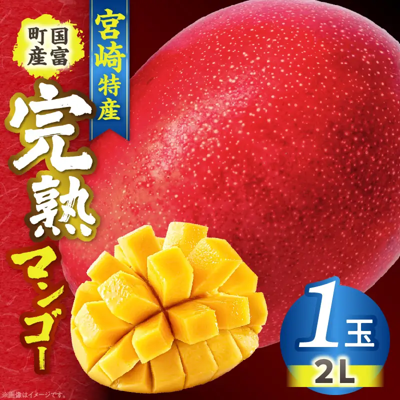 宮崎特産！国富町産の完熟マンゴー 1玉（2L）