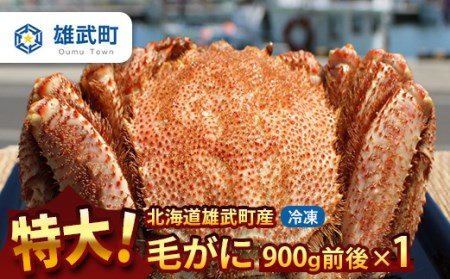 【北海道雄武町産】超特大毛がに900g前後×1（冷凍）【1231603】
