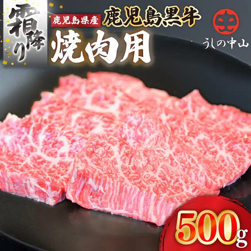 2109-1 うしの中山 霜降り 焼肉用 500g KN050-037 肉 牛肉
