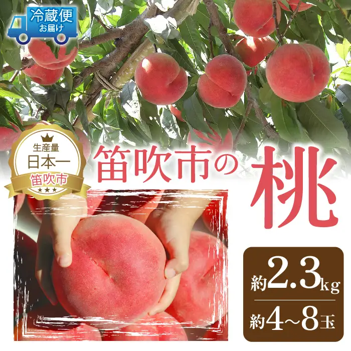 【2026年発送★先行予約】山梨の完熟桃2.3kg以上 111-018-26y