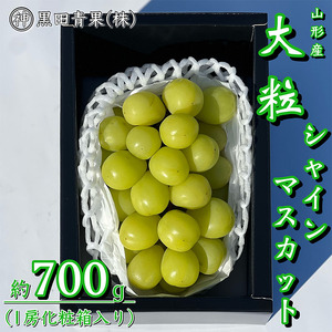 山形産 シャインマスカット 秀品 約700g(1房化粧箱入り)【令和8年産先行予約】FU23-418 くだもの 果物 フルーツ 山形 山形県 山形市 2026年産