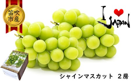 【2026年発送★先行予約】厳選高級シャインマスカット1kg以上（2房） 082-011-26y