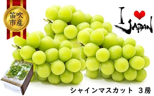 【2026年発送★先行予約】厳選高級シャインマスカット1.5kg（3房）082-012-26y