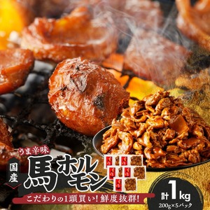 【馬肉】 国産馬ホルモン《旨辛味》《200g入り×5P》_国産 馬ホルモン 旨辛味 200g × 5パック 小分け 福岡県産 ホルモン 化粧箱入り やみつき うま辛 鮮度抜群 真空包装 急速冷凍 福岡県 久留米市 お取り寄せ グルメ ご飯のお供 おかず おつまみ 炒め物 焼きそば 焼肉 肉 馬肉 冷凍 送料無料 〔Ax305〕