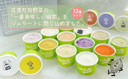 『チェントット』の「ジェラート12個セット（レギュラー6味 + 6味）」信濃町の人気店 ｜ 地産野菜や果物を使ったジェラート【長野県信濃町ふるさと納税】