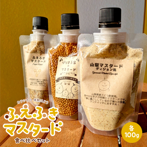 ふえふきマスタード食べ比べセット 084-001