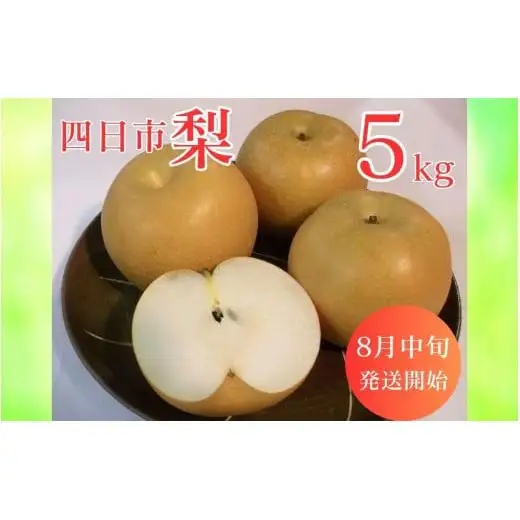 【先行予約】水谷さんが真心こめて育てた梨 5kg