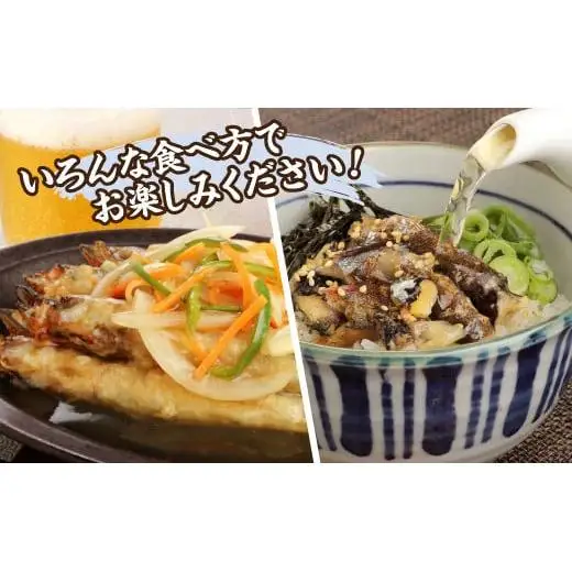 国内加工　塩ししゃも　5箱セット