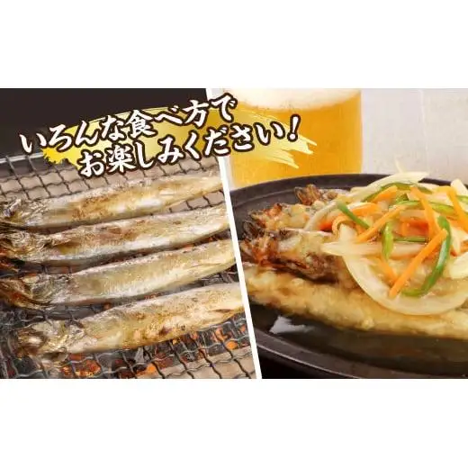 国内加工　特大ししゃも　4箱セット