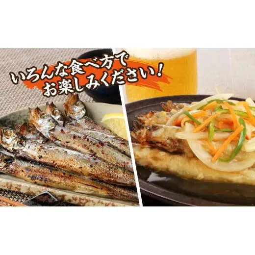 国内加工　醤油ししゃも　4箱セット