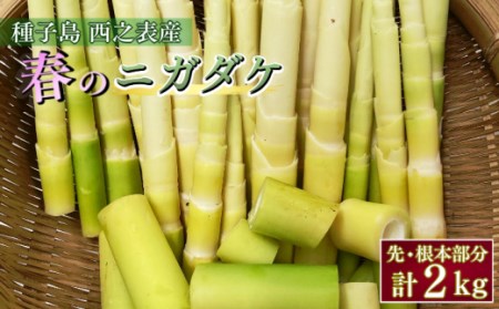 【 5月～6月 先行予約 】 種子島 産 ニガダケ (根本部分と先部分) 計2kg　NFN498【250pt】  