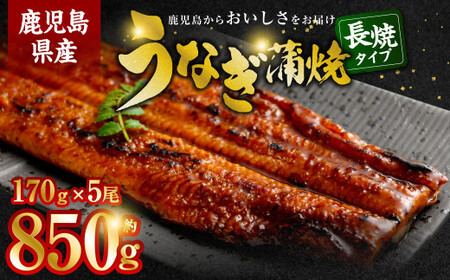 鹿児島県産うなぎ蒲焼 5尾 DSR-101