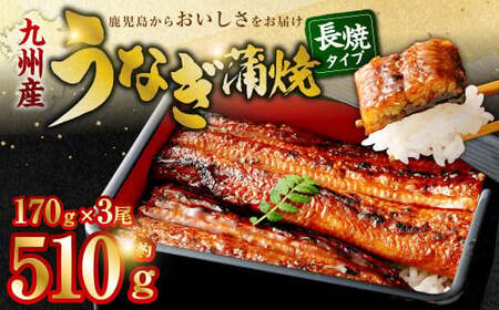 BS-338 九州産うなぎ蒲焼 3尾 食べごたえある3人前