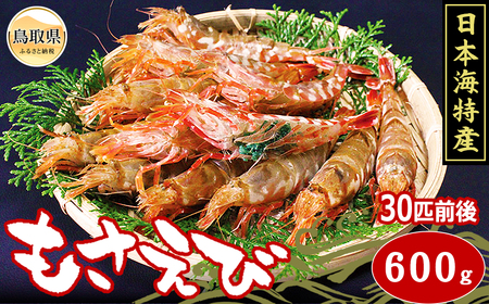 モサエビ　600g/30尾前後_T2600088