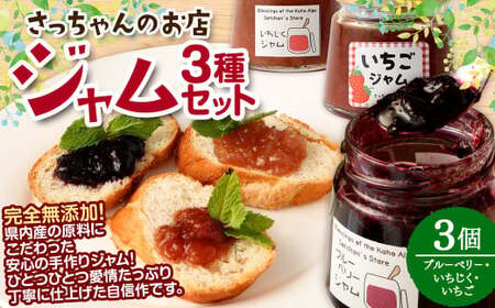 さっちゃんの店 ジャム 3種セット 各100g 3本セット （ブルーベリー・いちじく・いちご） 無添加 手作り 福岡県 嘉麻市