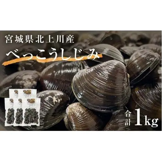 北上川の べっこうしじみ 1kg 冷凍 しじみ汁 味噌汁 小分け 宮城県 石巻市