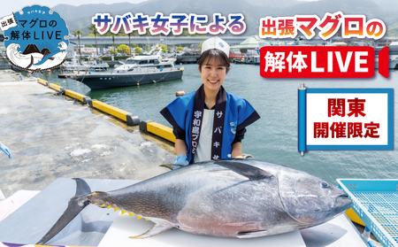 新鮮 マグロ 解体 出張 LIVE 関東開催限定 サバキ女子 宇和島プロジェクト マグロ解体ショー L2730-071012