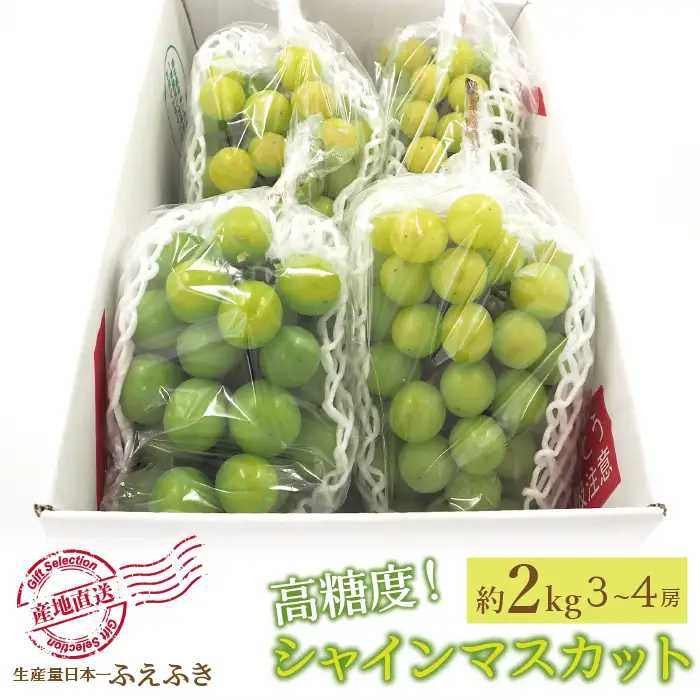 【2026年発送★先行予約】厳選！山梨県笛吹市産 シャインマスカット 約2.0kg（3～4房） 156-001-26y