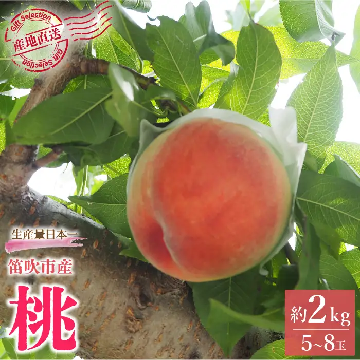 【2026年発送★先行予約】厳選！山梨県笛吹市産桃 約2kg（5～8玉） 156-003