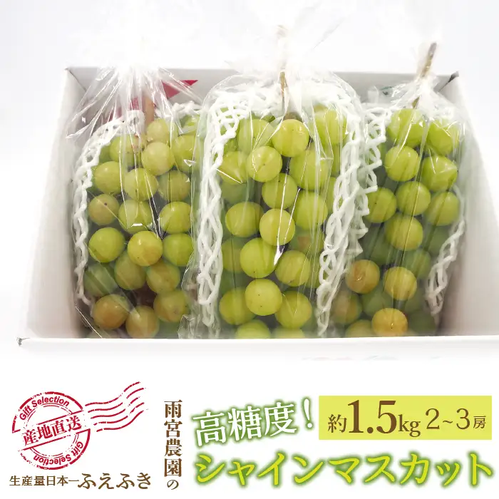 【2026年発送★先行予約】厳選！山梨県笛吹市産 シャインマスカット 約1.5kg(2～3房) 156-006-26y