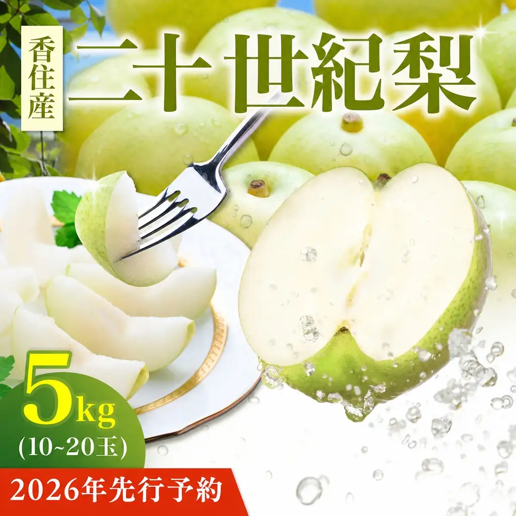 【2026年産 先行予約】 梨 二十世紀梨 約5kg 10～20玉 1玉250～500g 【令和8年8月下旬以降発送予定】 20世紀梨 フルーツ 果物 12-25