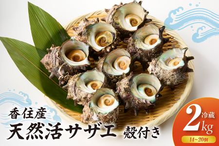 兵庫県香住産 天然 活 サザエ 2kg（14～20個）冷蔵 さざえ 33-20