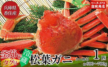 【先行予約】釜茹で 松葉がに 1匹（約600～700g）【令和8年11月下旬以降発送予定】 冷蔵 ズワイガニ かに カニ 33-24