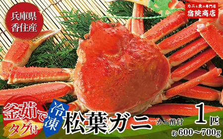 釜茹で 松葉がに 1匹 約600～700g 【令和8年11月下旬以降発送予定】冷凍 ズワイガニ カニ かに 33-25