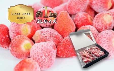 O11 Linda Lindo BERRY 冷凍いちご 1kg 2Lサイズ