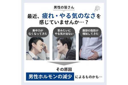 測定 男性更年期 セルフチェック 筋トレなどの運動の成果確認に!! 【毛髪ホルモン量測定キット～テストステロン～】