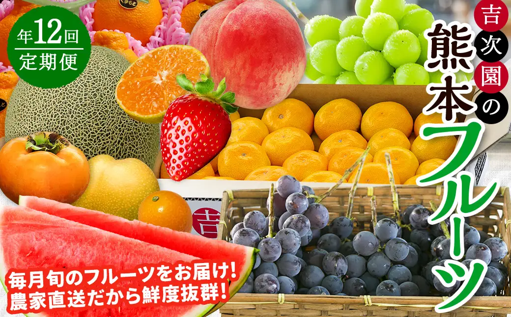 【12カ月定期便】熊本フルーツ定期便12カ月｜果物 くだもの 苺 いちご みかん 柑橘 メロン すいか 桃 ぶどう 梨 柿 ジャム