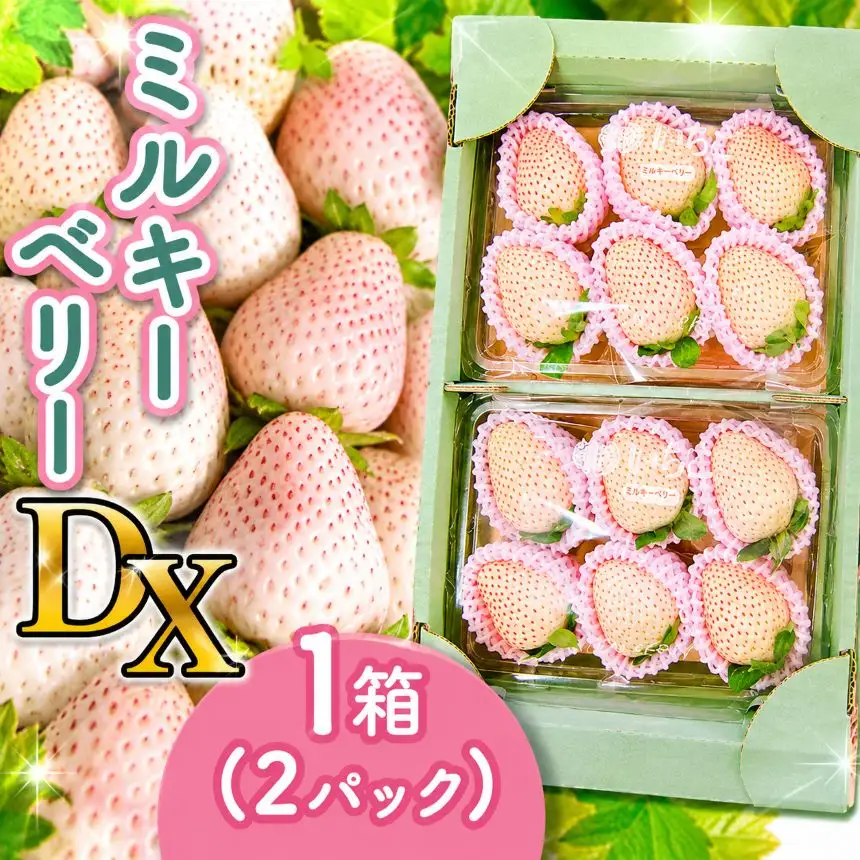【2026年12月以降発送】ミルキーベリー DX 1箱(2パック) | ミルキーベリー