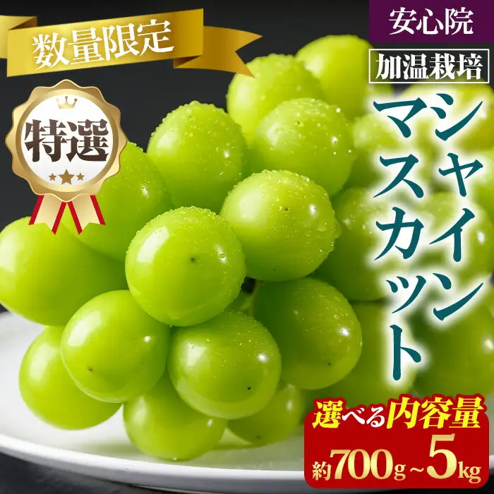 シャインマスカット 加温栽培(約700g)シャインマスカット ぶどう 葡萄 フルーツ 果物 くだもの 果実＜先行予約受付中！2026年8月上旬から順次発送予定＞＜北海道、沖縄、離島配送不可＞【106300401】【大分県農業協同組合　北部エリア】