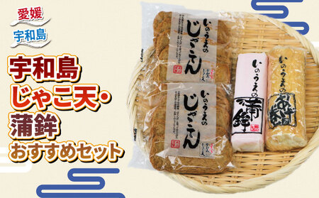 練り物 手押し じゃこ天 蒲鉾 おすすめ セット 井上蒲鉾本舗 C015-003003