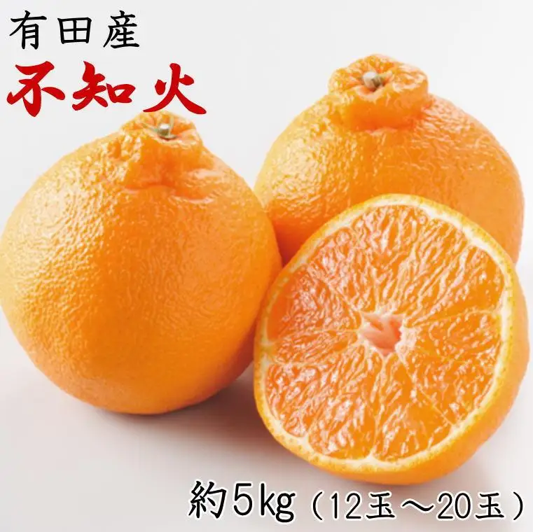 ［濃厚］有田の不知火約5kg（12～20玉）★2027年2月中旬頃より順次発送