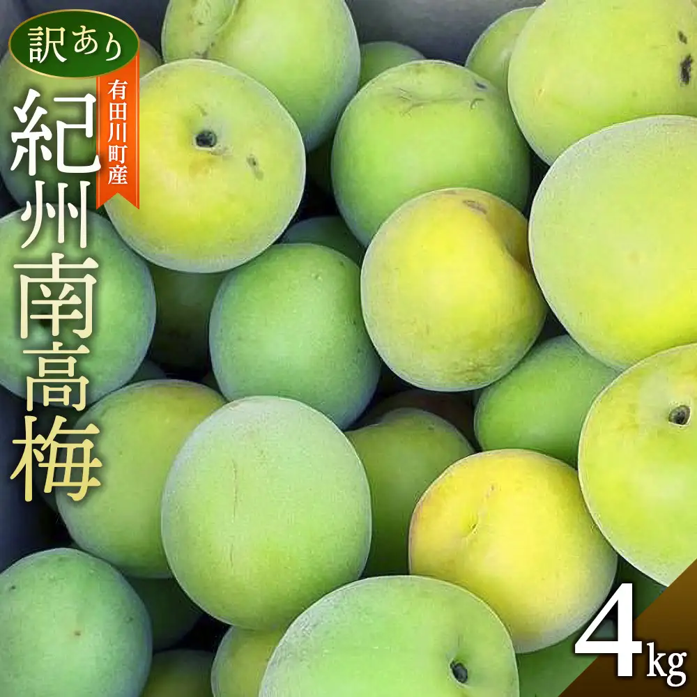青梅 4kg 紀州南高梅 シロップ・梅酒・梅干し用等 和歌山県有田産 訳あり 2026年5月下旬～7月上旬発送予定