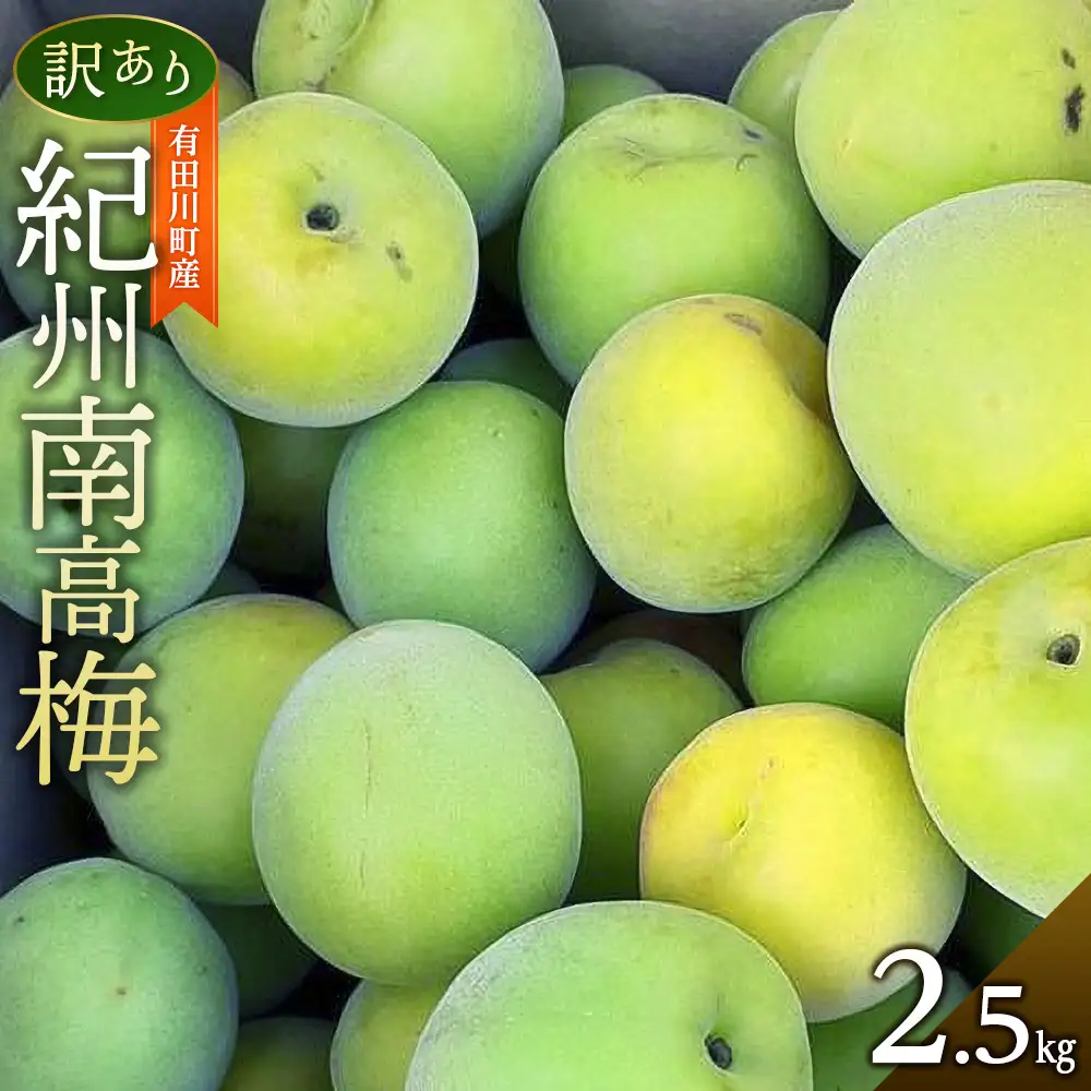 青梅 2.5kg 紀州南高梅 シロップ・梅酒・梅干し用など 和歌山県有田産 訳あり 2026年5月下旬～7月上旬発送予定