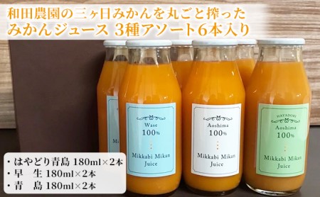 和田農園の三ヶ日みかんを丸ごと搾ったみかんジュース 3種アソート6本入り 果汁飲料 フルーツジュース 旬のみかん 爽やか 100％ストレートジュース 飲み比べ 