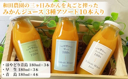 和田農園の三ヶ日みかんを丸ごと搾ったみかんジュース 3種アソート 10本入り 果汁飲料 フルーツジュース 旬のみかん 爽やか 100％ストレートジュース 飲み比べ 