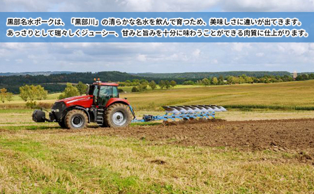 黒部名水ポーク　ロース切身5枚入り・しゃぶしゃぶ用肉（約350g）・名水ハンバーグ（約200g）×3個/ふるさと納税/富山県黒部市 豚肉 