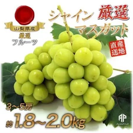 【2026年発送】厳選!シャインマスカット約1.8～2.0kg　3～5房入り【配送不可地域：離島】【1395552】