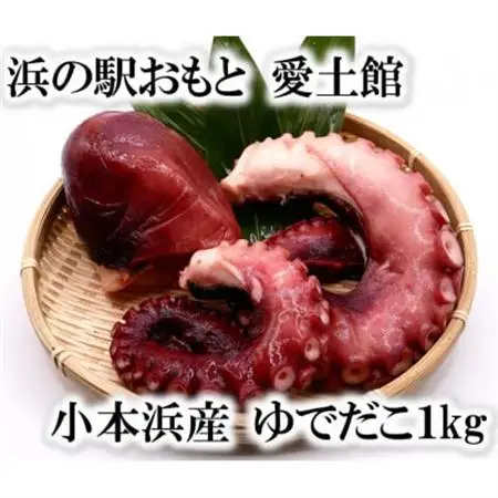 小本浜産　ゆでだこ(ミズダコ)1kg_魚介・海産物 タコ  たこ 蛸_【配送不可地域：離島】【1402743】