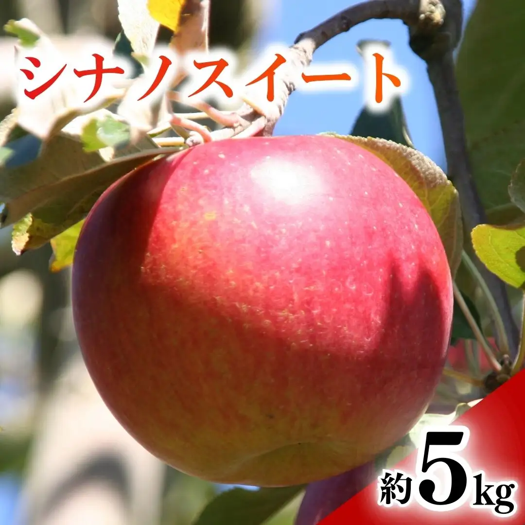【2026年先行予約】りんご シナノスイート(長野県オリジナル品種) 約5kg |シナノスイート