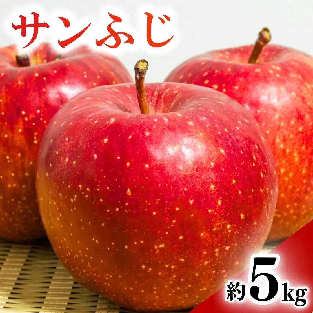 【2026年先行予約】りんご サンふじ 約5kg |サンふじ
