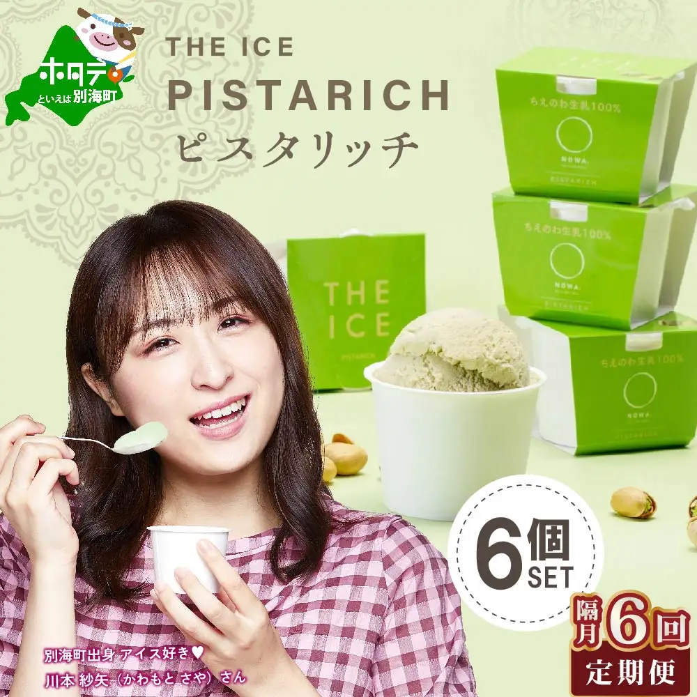 【隔月定期便】北海道アイスクリームピスタリッチ6個セット×6回定期便 アイスクリーム