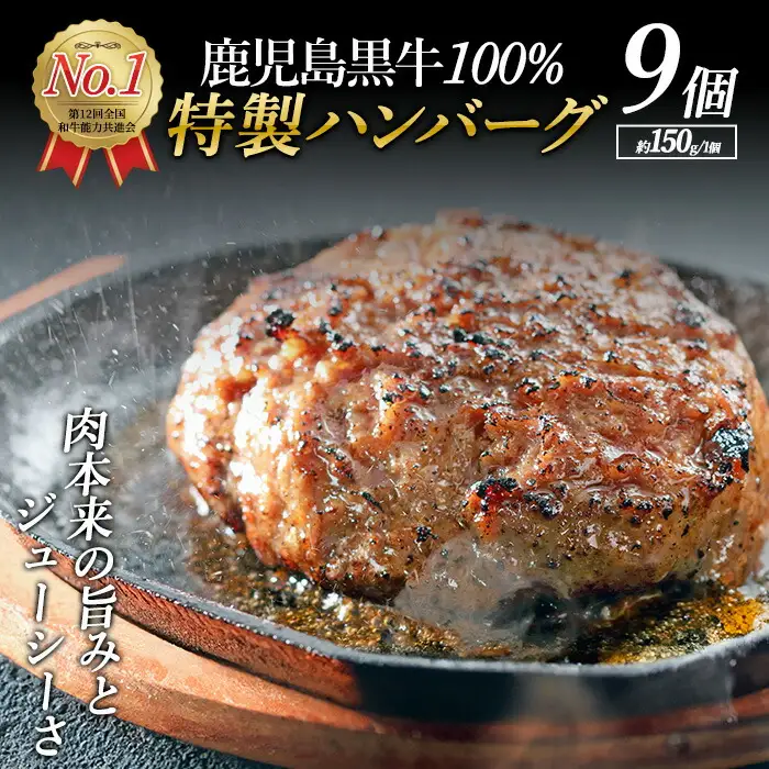 鹿児島黒牛特選ハンバーグ9個入り【nixy中山亭】chuzan-7012