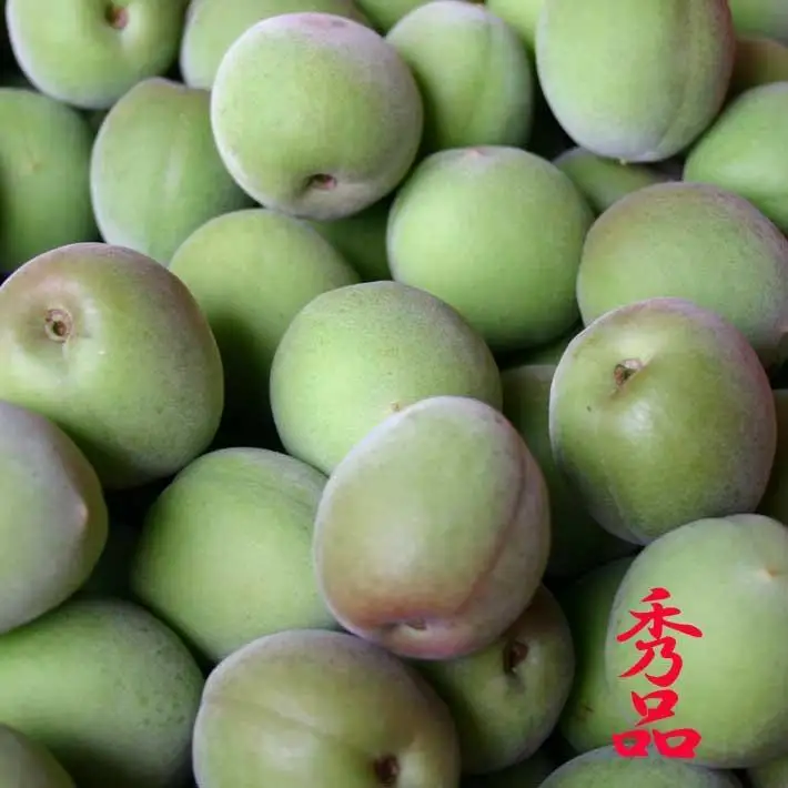 和歌山県産 紀州南高梅 青梅 秀品 5kg（3L以上〜Lサイズ混合）