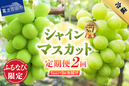 【ふるなび限定】 厳選シャインマスカット1kg以上×2回配送【2026年発送】シャインマスカット定期便 FN-Limited-PR