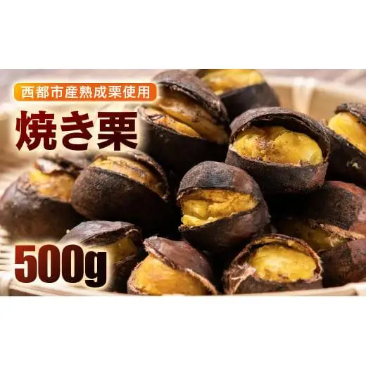 【先行予約】秋の味覚！ 熟成焼き栗 2パック 合計500g＜49-12a＞